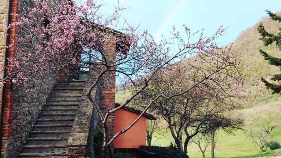 Agriturismo Paradiso41 Assise Extérieur photo