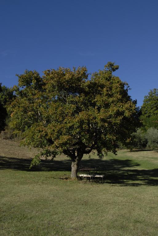 Agriturismo Paradiso41 Assise Extérieur photo