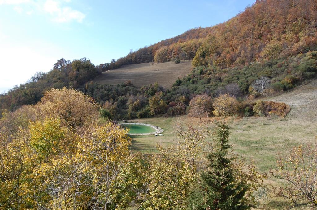 Agriturismo Paradiso41 Assise Extérieur photo