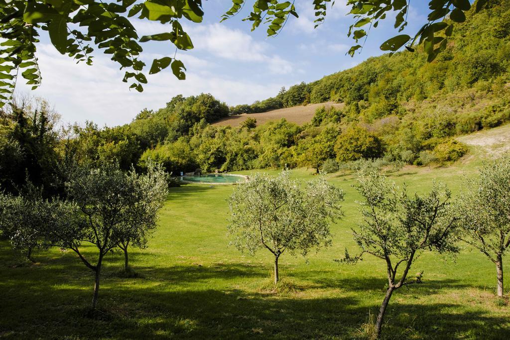 Agriturismo Paradiso41 Assise Extérieur photo
